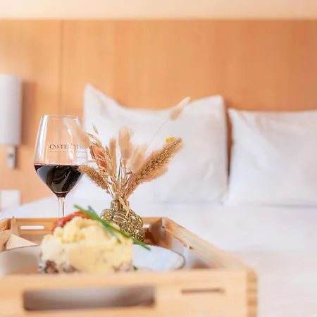 Ibis Centre Gares מלון